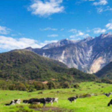 沙巴·仙本那6天5晚/2人即成行||马来西亚旅游||东南亚旅游||风下之乡沙巴·潜水天堂仙本那6天5晚自助游