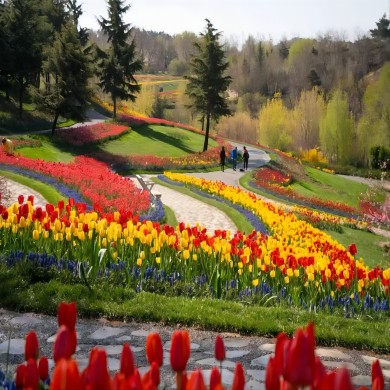 春季赏花之旅：浪漫大连、多彩丹东6日游/大连旅游/大连旅行社/大连定制游/大连小包团/大连自由行