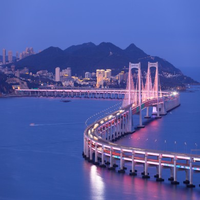 时尚大连+浪漫赏花+旅顺军港 4天3晚||大连旅游||大连旅游攻略||大连4天3晚定制游||大连旅行社||大连旅游团