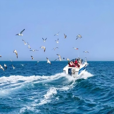 大连亲子旅游线路、大连亲子1+1旅游线路随心配、大连亲子定制旅游、大连旅游定制小包团、大连旅游攻略、