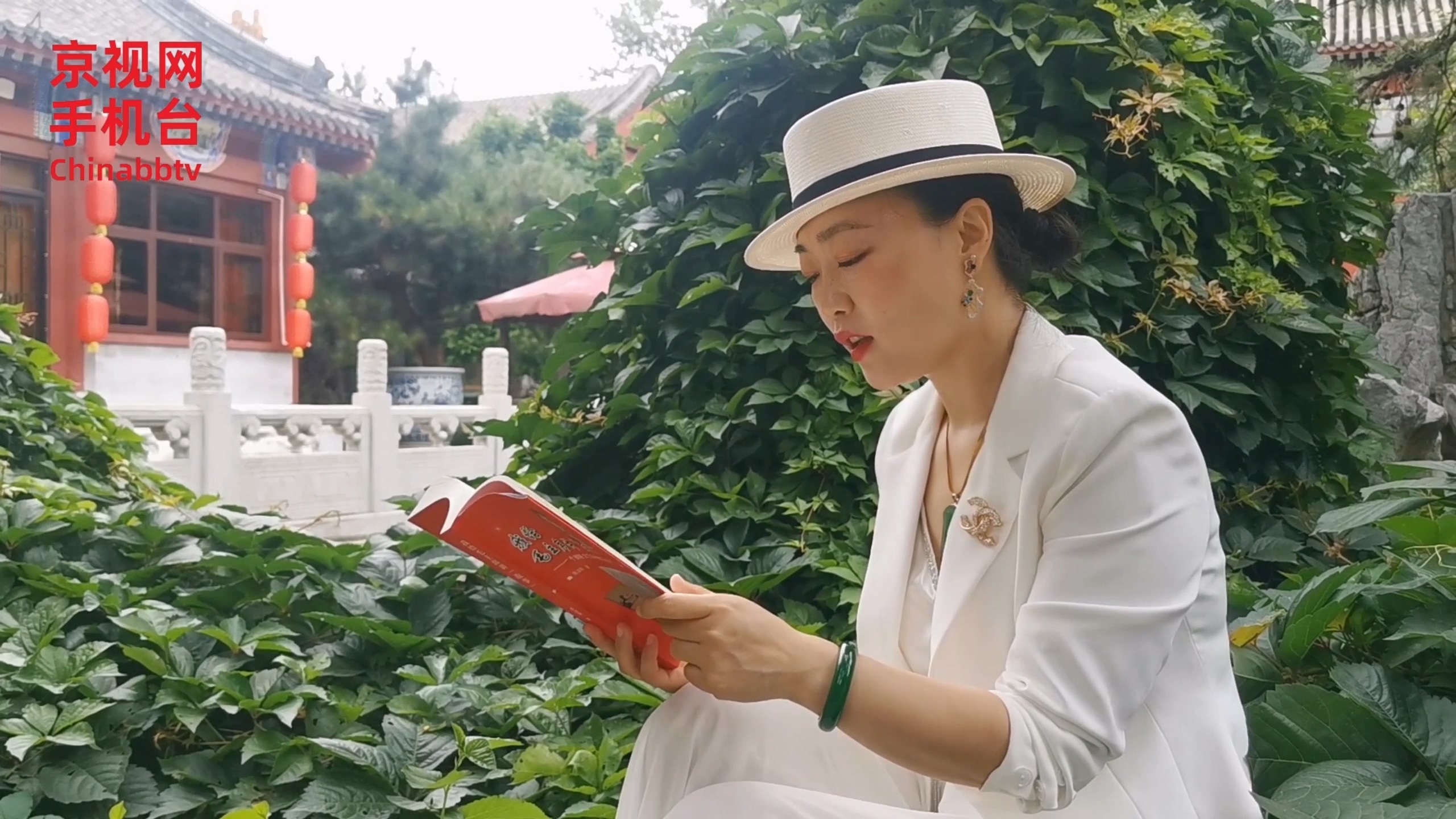 王韬:为领袖们演出《阅读》栏目第九集