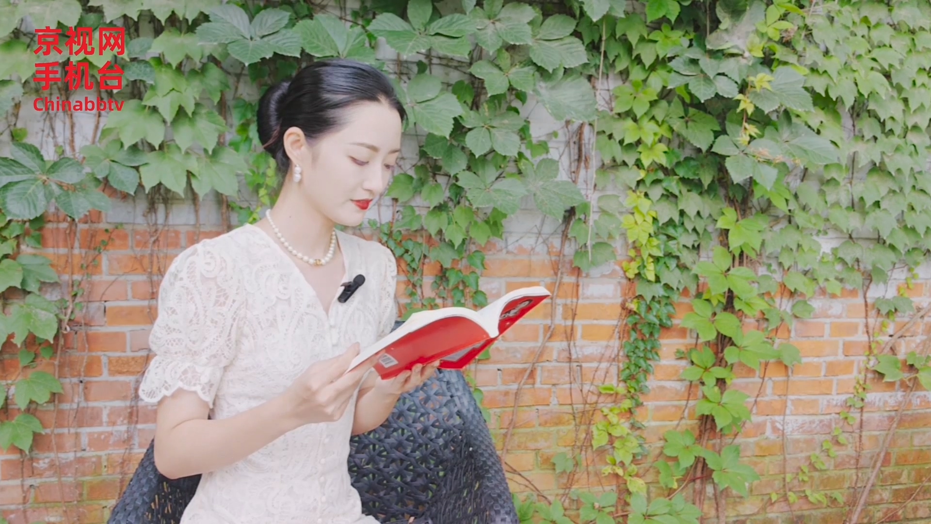 赵真谛:怪我这个主席没当好《阅读》栏目第十集