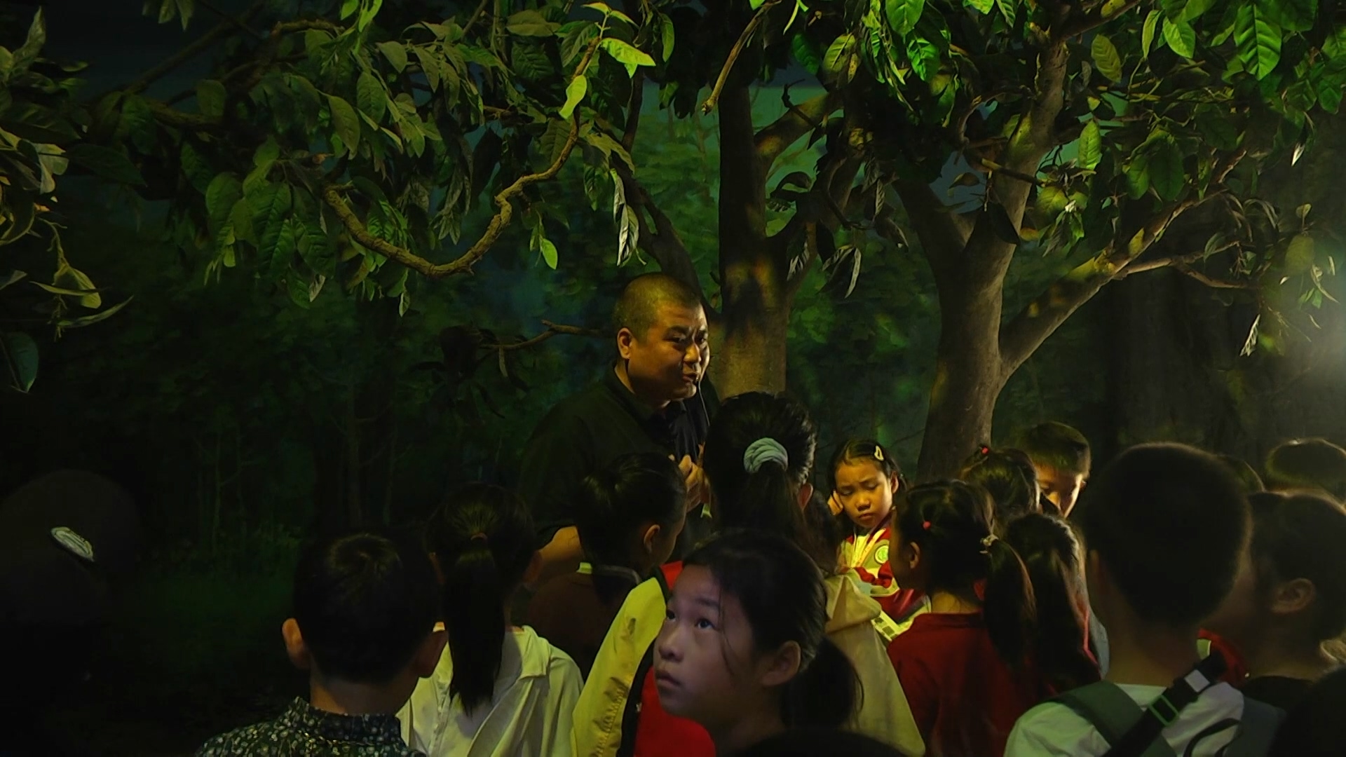 “双百促双减”系列科普活动之生态环境与动物行为课程飞行建筑师