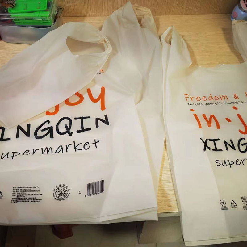 Fully biodegradable shopping bag