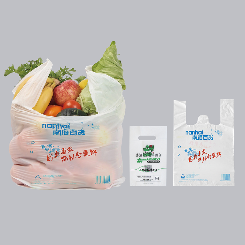 Ordinary bag 2