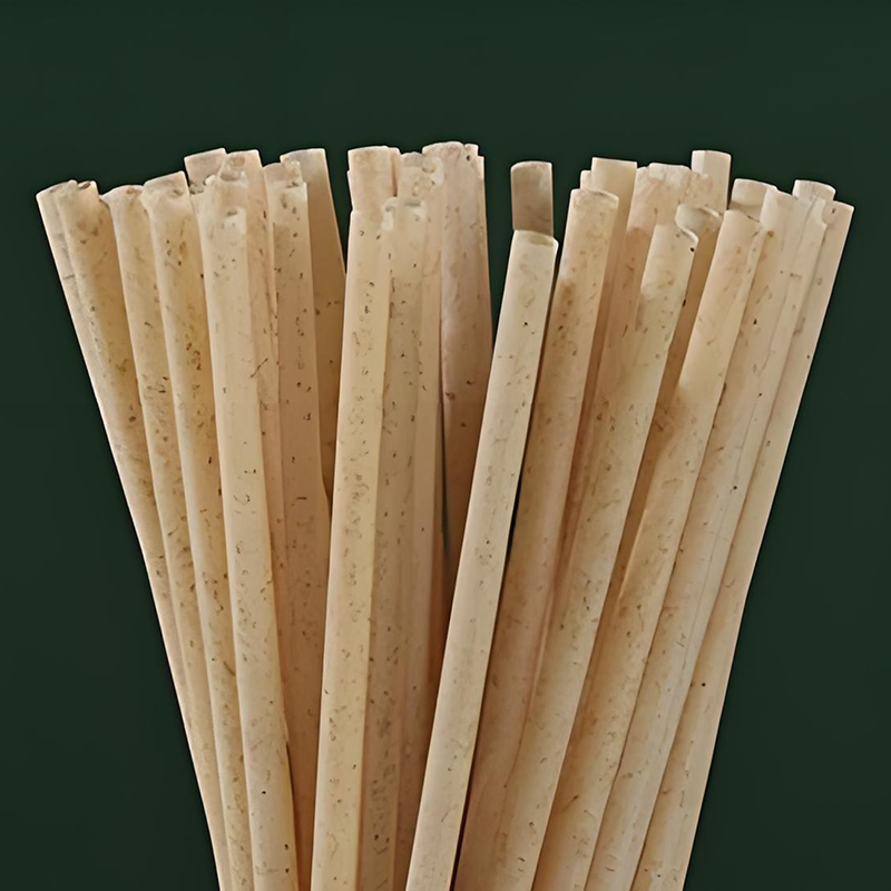 Bagasse fiber degradable straw