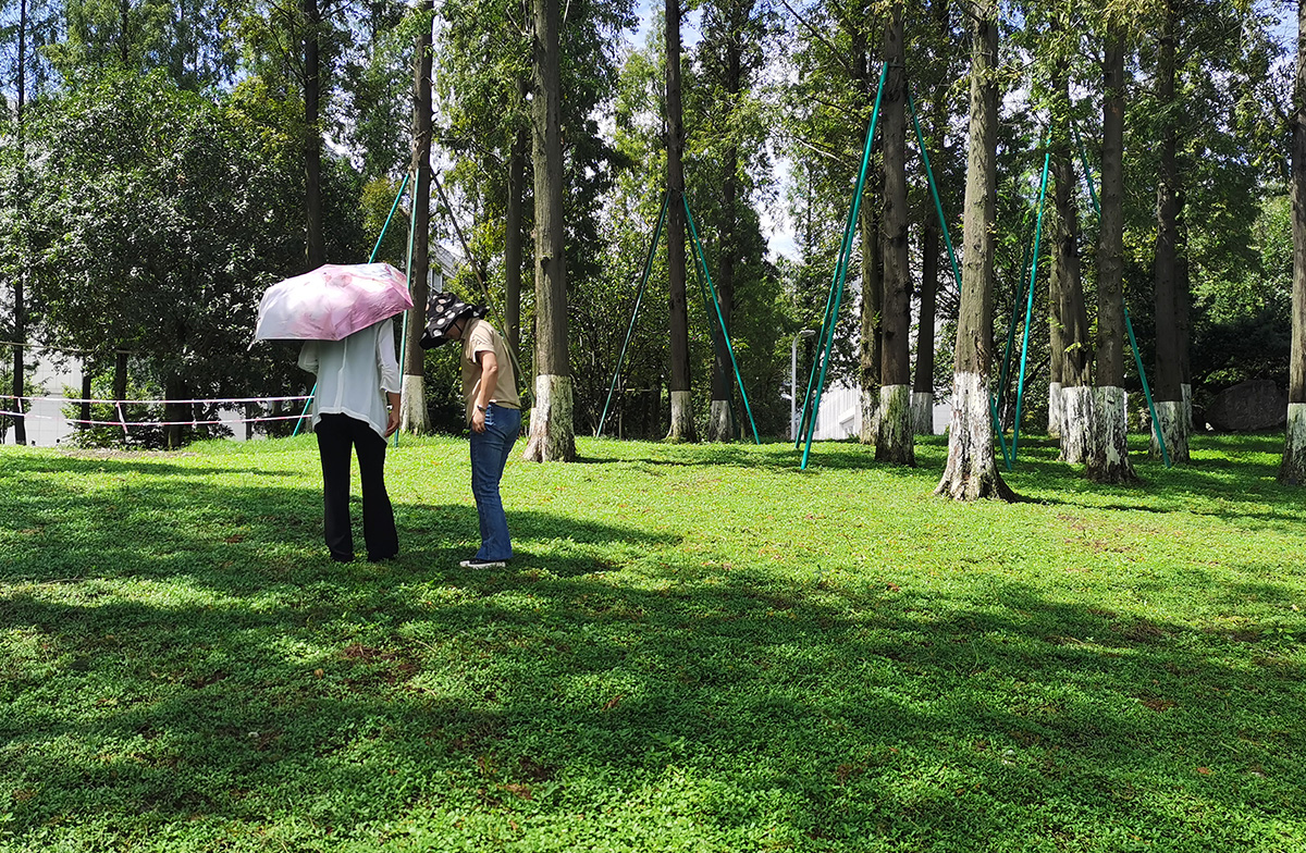 姬巖垂草（圓晶草）-成都電子科技大學