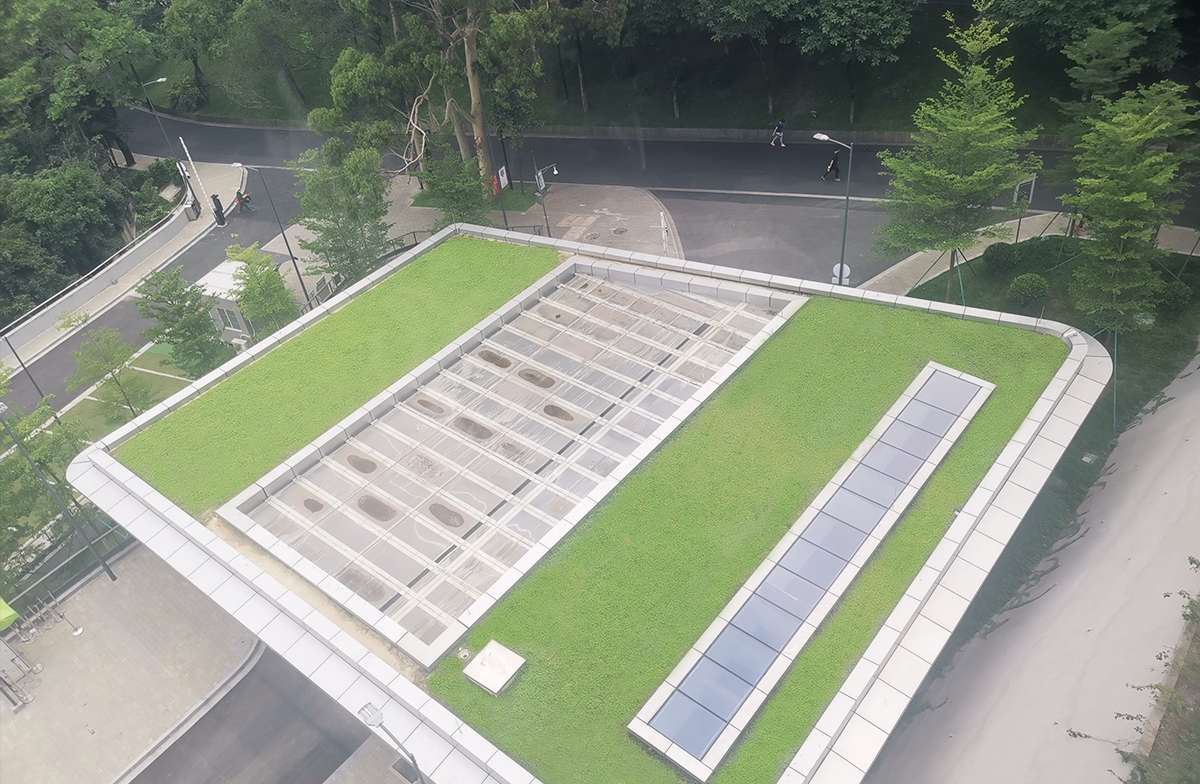 綠地貼-華南鋪地錦竹草-廣州市白云山5A級景區