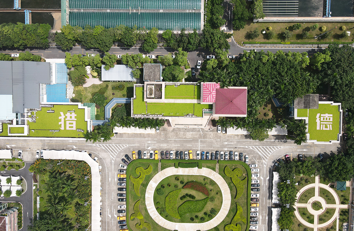 綠地貼-華南鋪地錦竹草-廣州市獵德污水處理廠