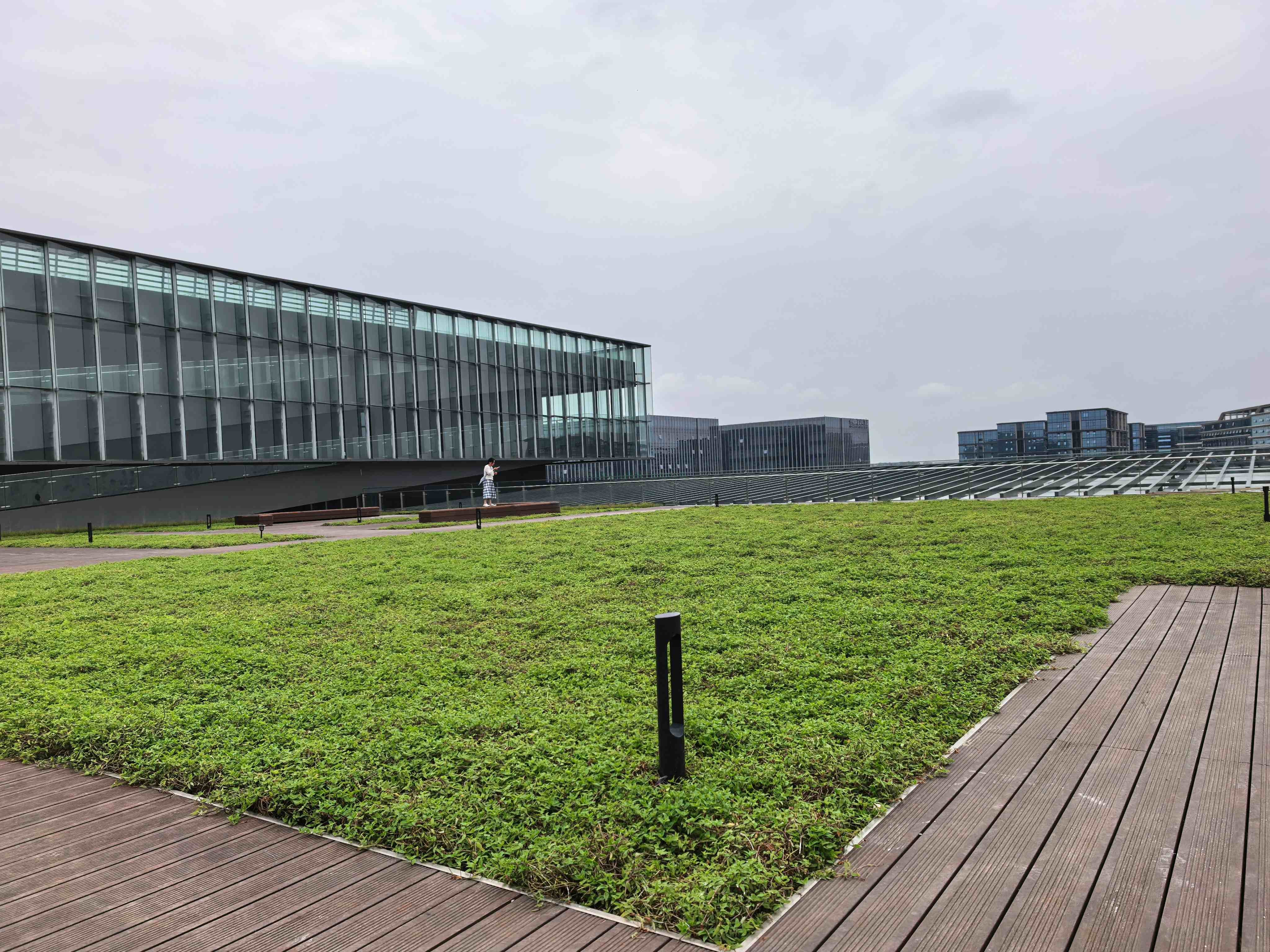 綠地貼-華南鋪地錦竹草-成都空港國際會議中心