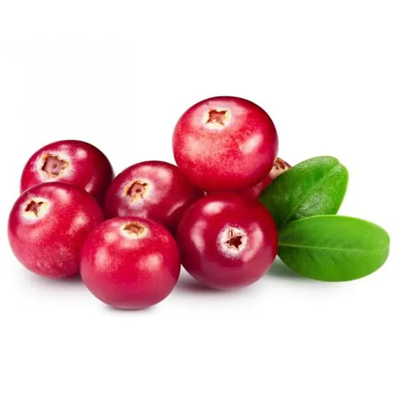 Cranberry Extract