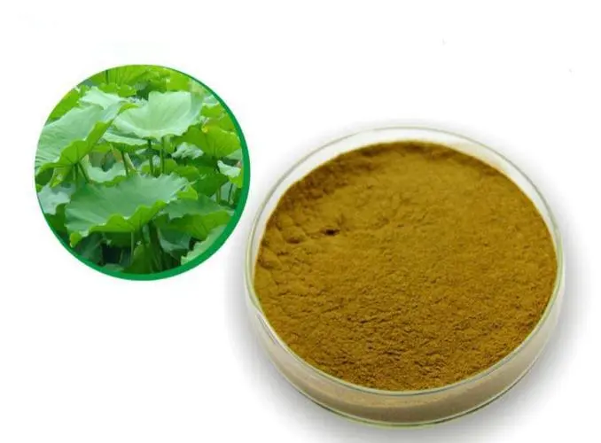Lotus Leaf Extract