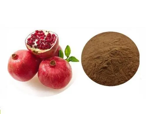 石榴皮提取物