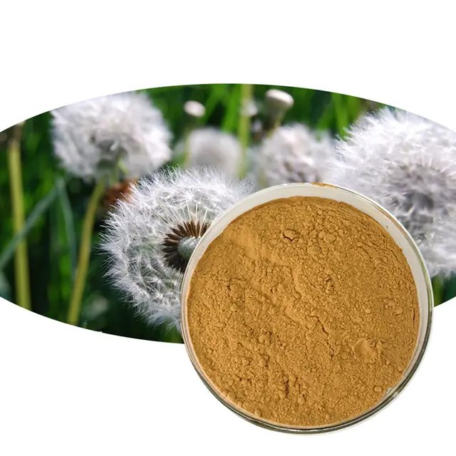 蒲公英提取物