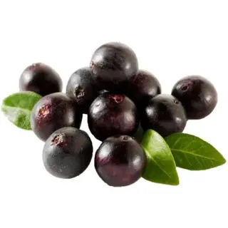 Acai Berry Extract