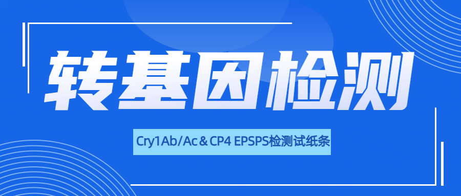 样本+一根试纸条=转基因检测明明白白！一根双效，让检测更快捷