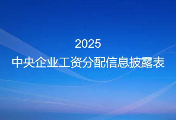 2025中央企业工资分配信息披露表