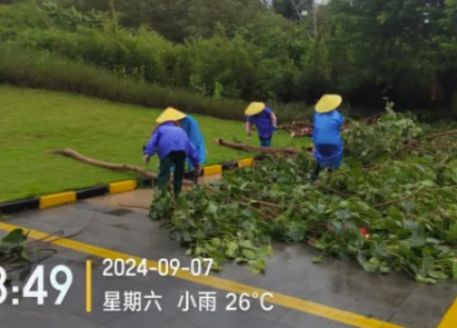 闻“风”而动 全力以“复” | 华邦（湛江）玥珑湖全员响应，及时完成台风“摩羯”恢复工作
