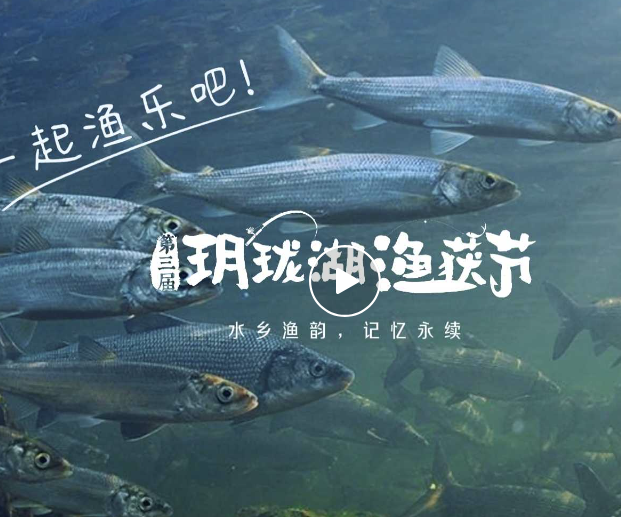 第三届玥珑湖渔获节 | 共创在地节日文化，共享水乡丰收喜悦