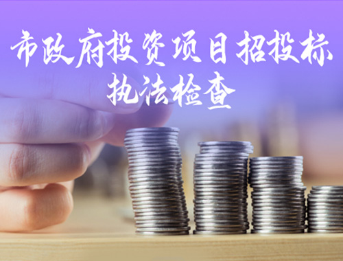 2020年北京市政府投資項目招投標執(zhí)法檢查項目