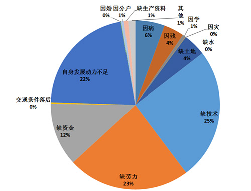 “后小康”時代北京市對口援助拉薩市鞏固脫貧防止返貧機制和模式研究
