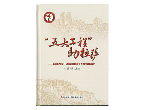 北京援藏“五大工程”研究