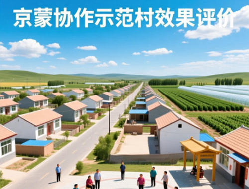 京蒙協(xié)作示范村效果評價(jià)
