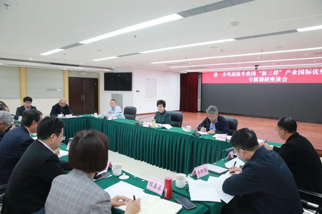 徐偉豐董事長(cháng)參加民建中央專(zhuān)題調研座談會(huì )