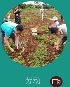 劳动
