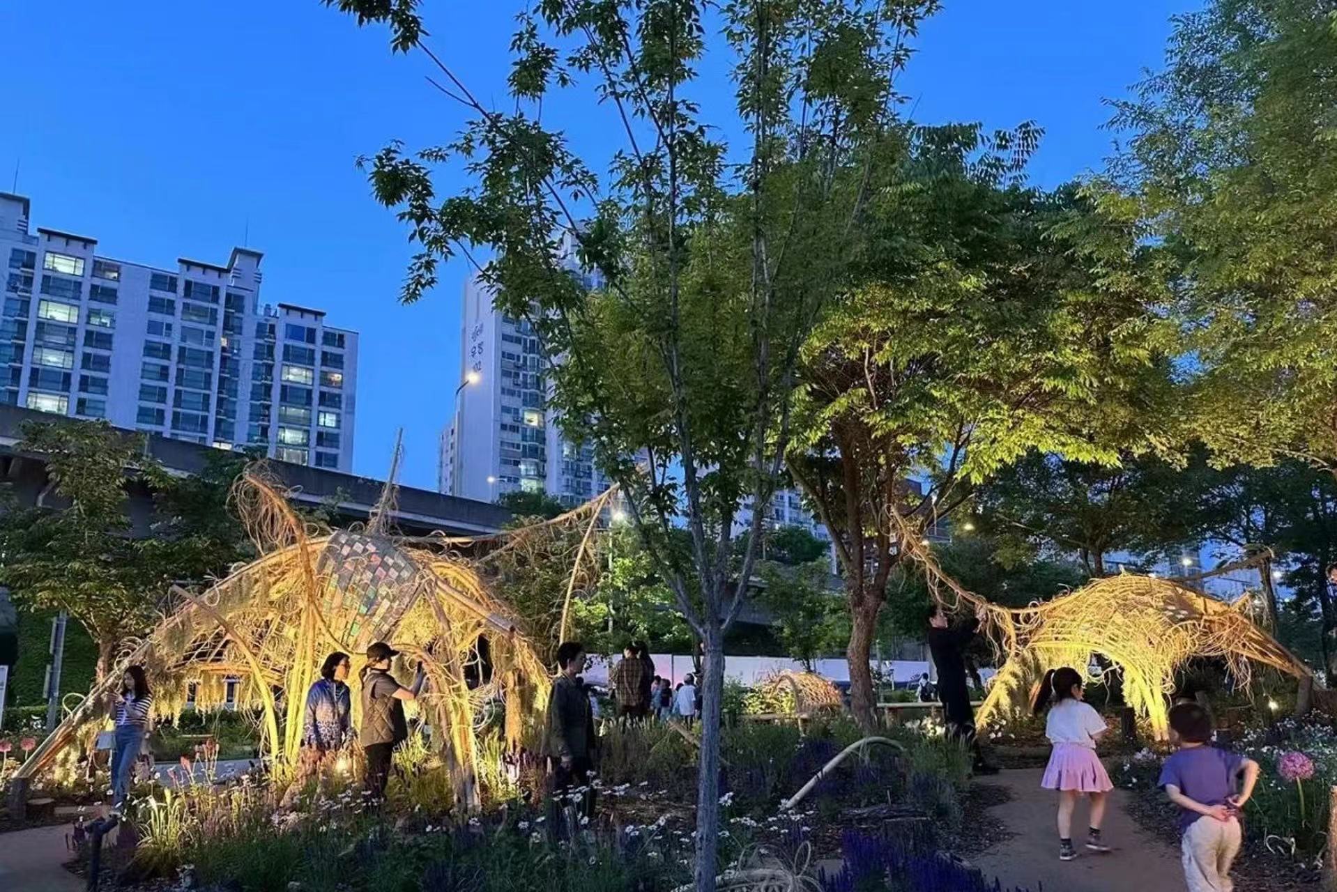 生物自组织花园