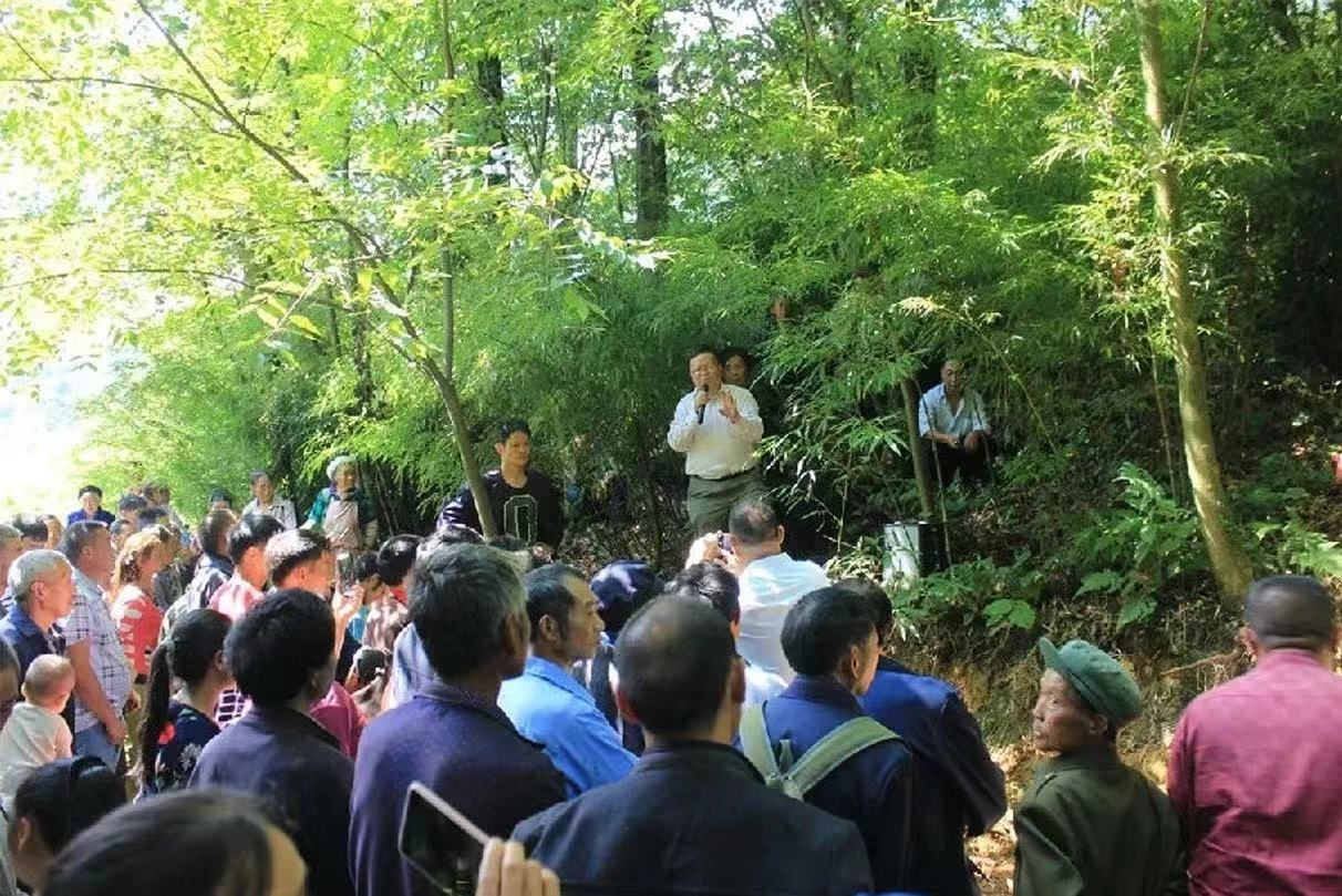 科技助力竹产业拔节向上