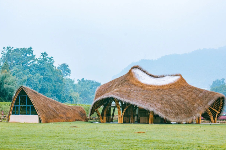 竹境案例 | 绿筠轩 竹建筑 竹境设计施工一体化