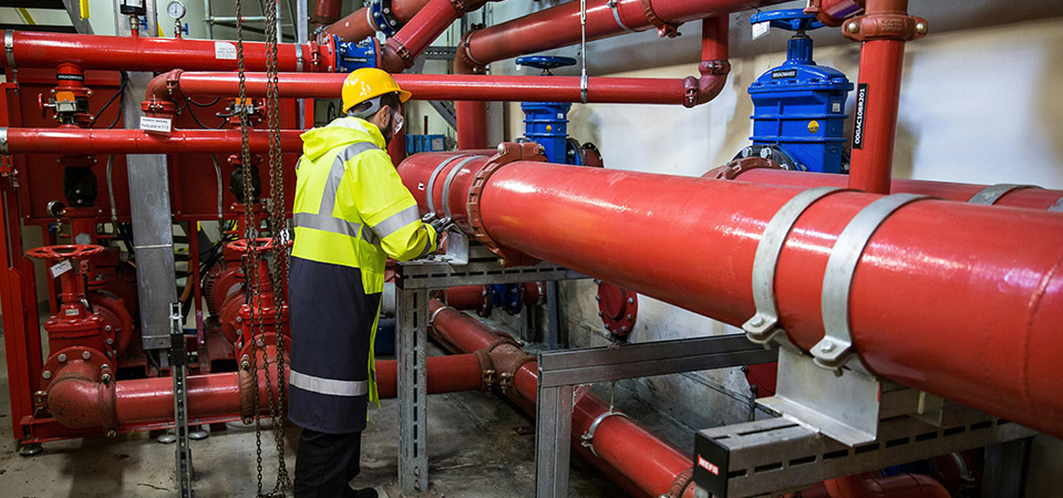 Technical support and training