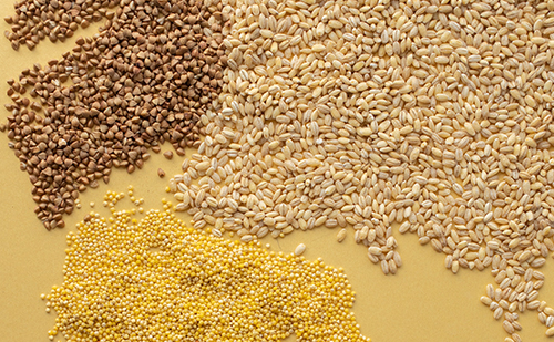 2015年度河北白酒名優品牌榜發布