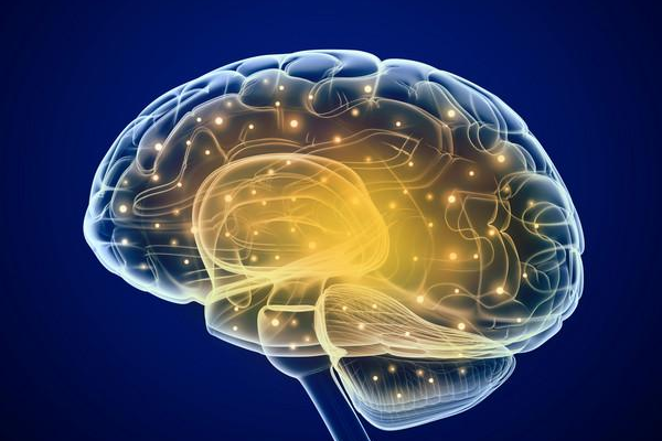 脑血管健康，大脑常年轻