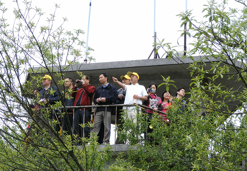 桂林明朝靖江王陵实习考证