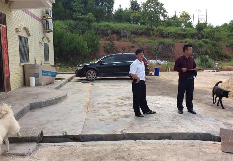 为河源赖青布局