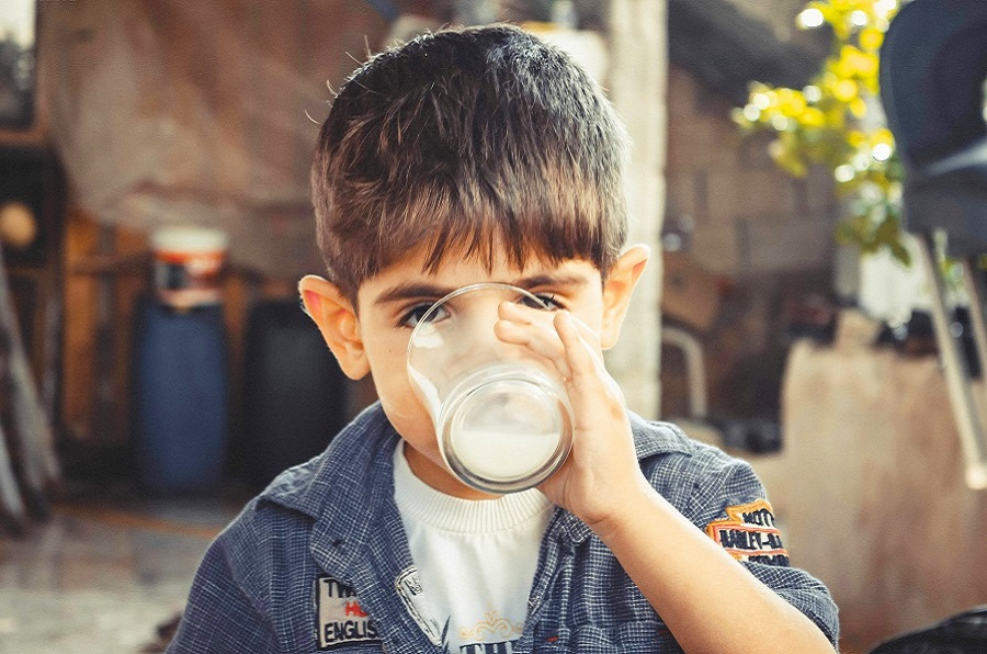 New Zealand Whey Protein