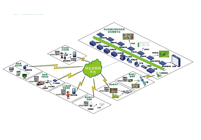 林业有害生物防治检疫管理系统