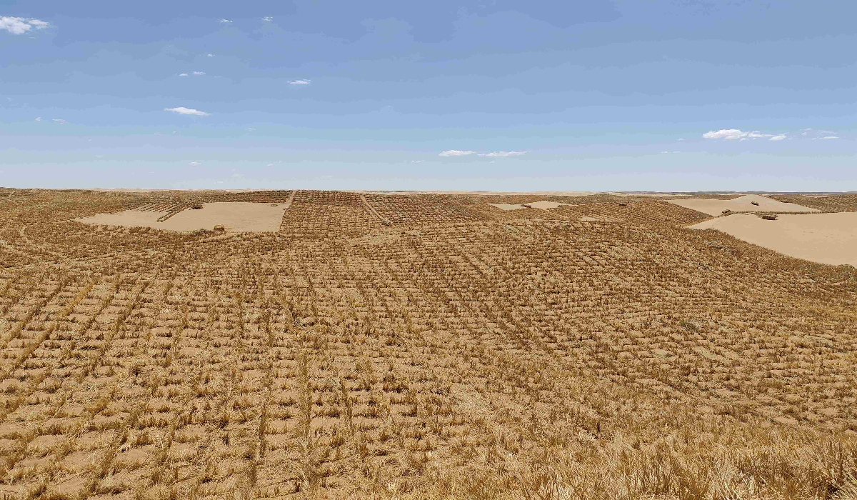 【新聞時刻】以治沙鐵肩扛起生態(tài)重任，用綠色畫筆勾勒北疆壯美畫卷！