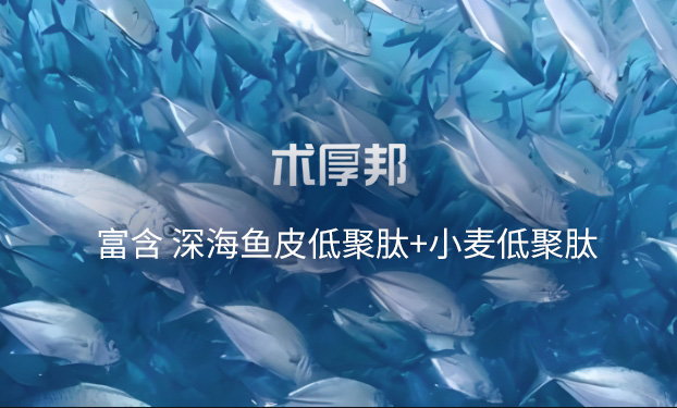 低聚肽：身体的健康密码，术厚邦的卓越选择