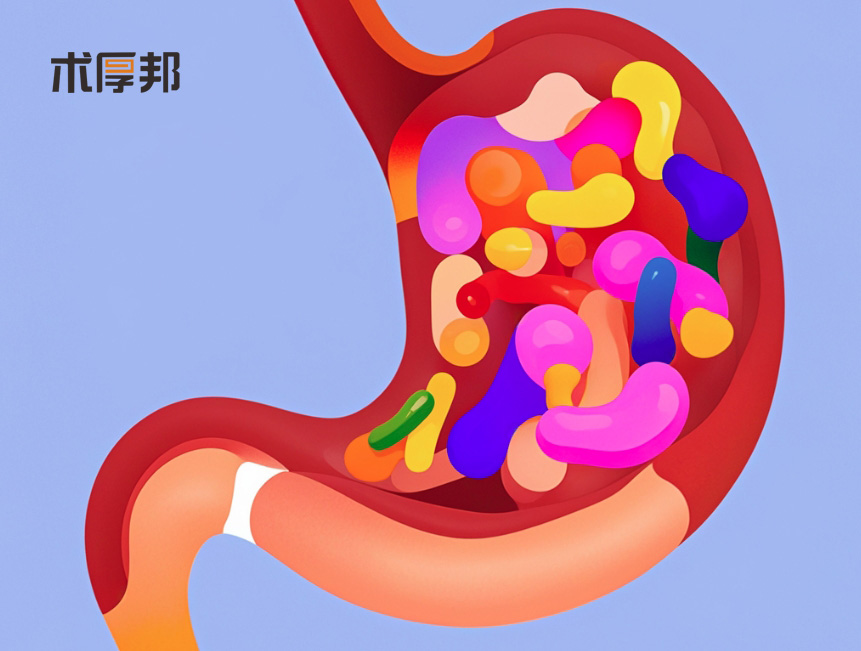 养胃秘籍：呵护胃部健康，畅享美好生活