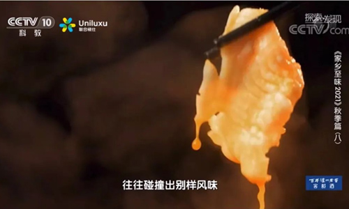 央视探索发现《家乡至味2021秋季篇》，鱼腐、雪花鱼肉卷引领新食尚