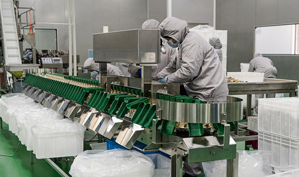 规格筛选
采用先进的检测技术与机械传动系统,实现对鲍鱼肉大小、形状、重量等多维度的快速识别与筛选,提高鲍鱼肉加工效率和产品品质