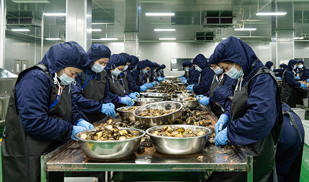 去壳去肚去齿
手工取肉可以更精细地处理鲍鱼，去除鲍鱼的内脏和多余的部分使得鲍鱼的肉质更加纯净，口感更加细腻；可最大程度保留鲍鱼肉的完整性