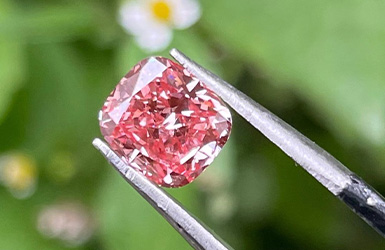 这里是新闻标题