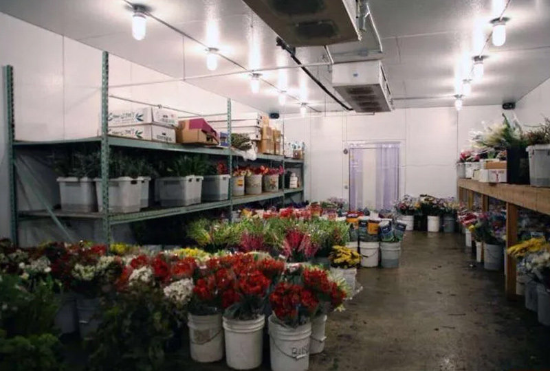 Cold Room