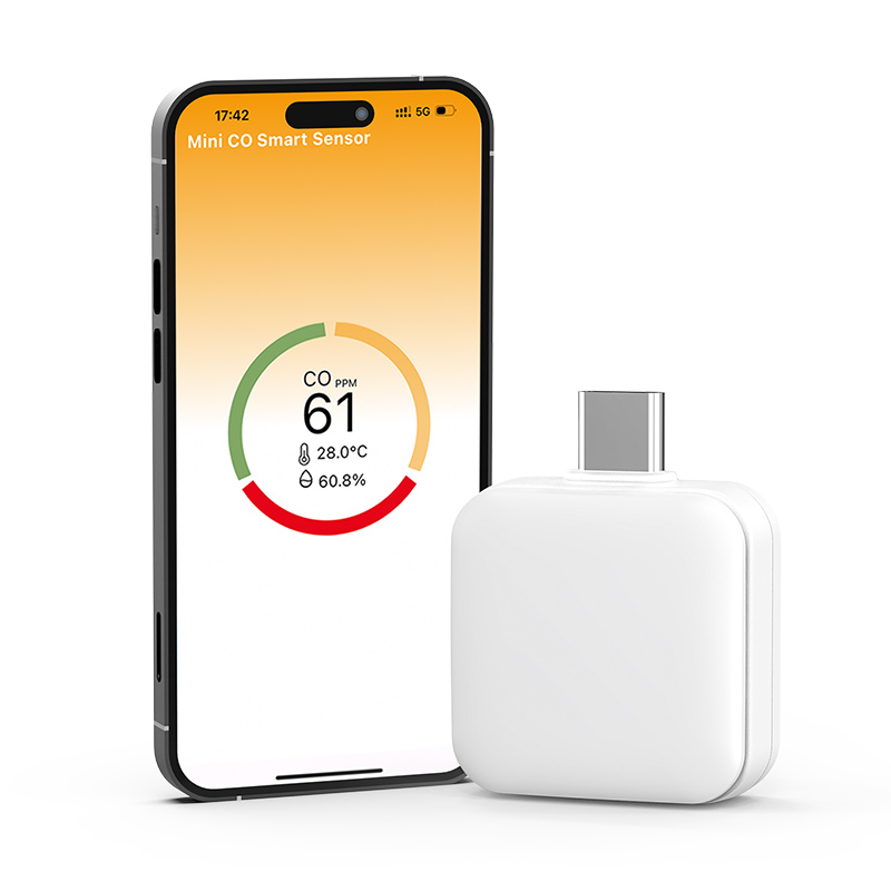 Mini Carbon Monoxide(CO) Detector