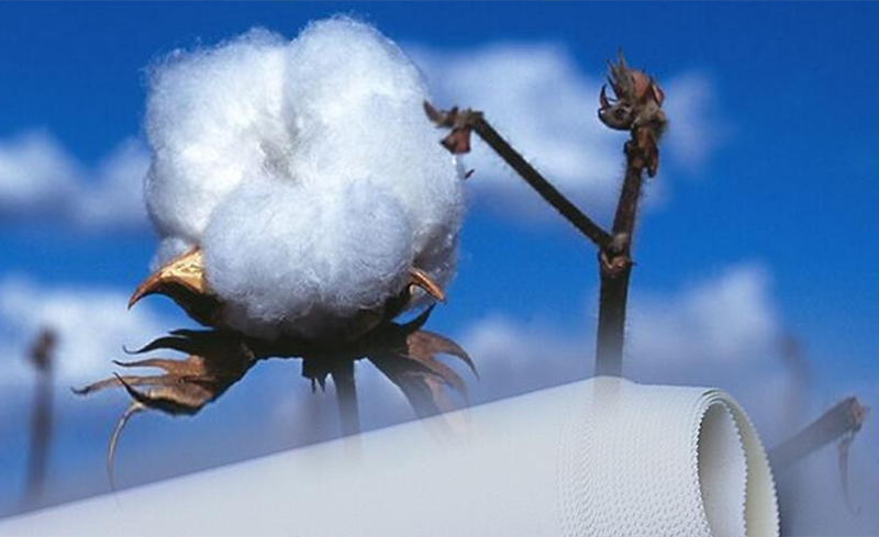 04
Advantages:
For our cotton fabric,
we come true