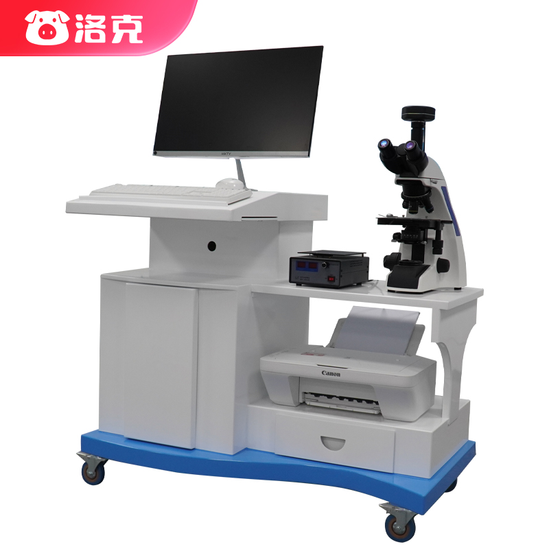 LK-2100質(zhì)量分析系統(tǒng)